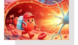 漫长的拥堵与重生的波纹：一颗红细胞的"微循环"日记
