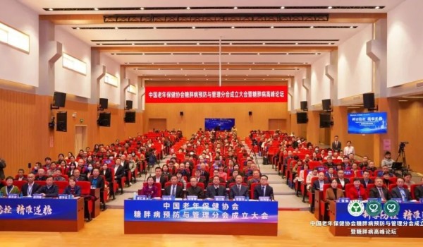 从景集团应邀出席2025糖胖病高峰论坛,推动代谢疾病治疗方式创新!