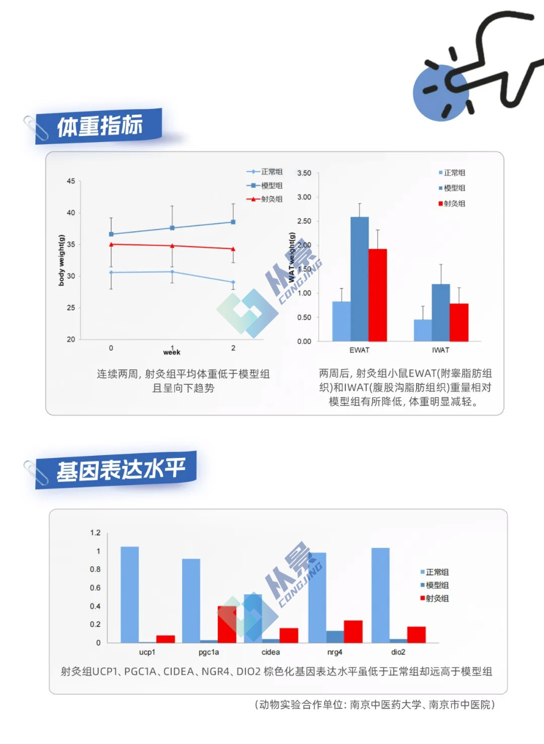 动物实验显示，射灸舱可促进白色脂肪向棕色脂肪转化，从根本上提升脂肪代谢效率，对长期体重管理具有积极意义。