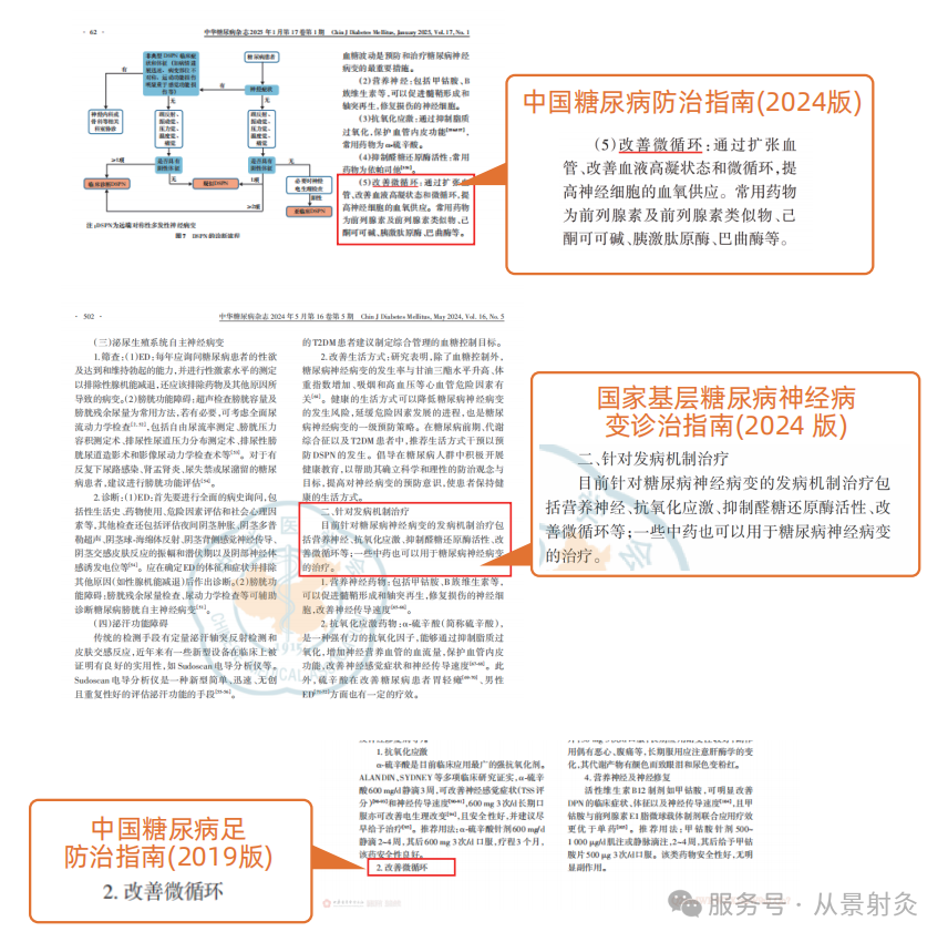 中国糖尿病防治指南（部分截图）